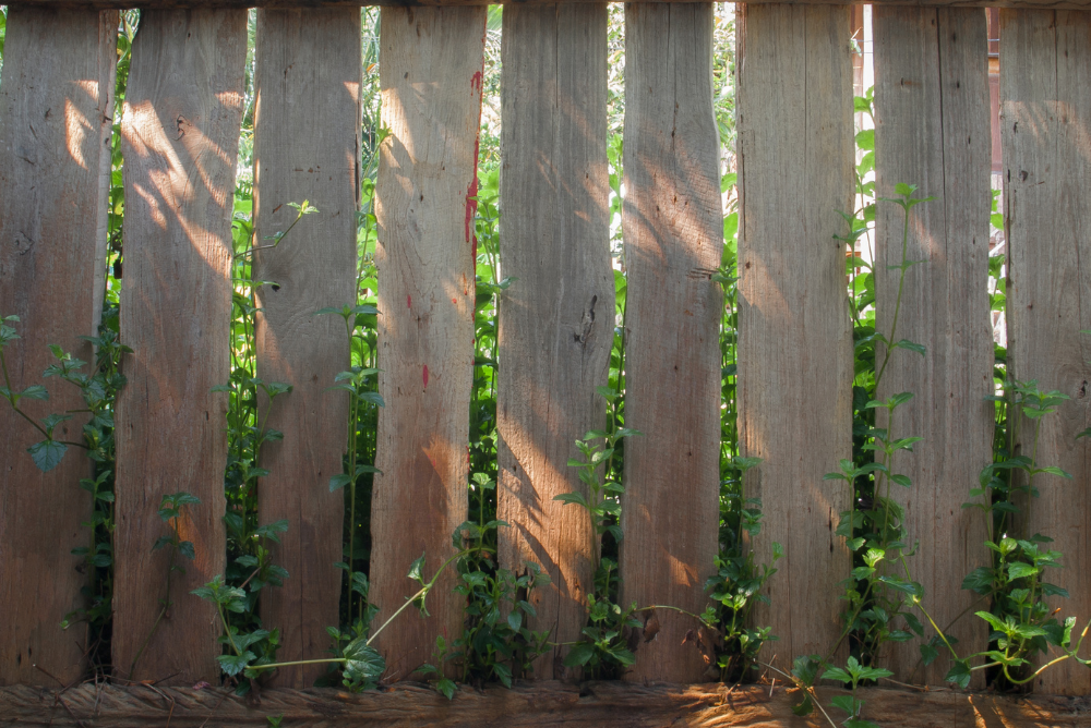 Wood Fence Installation in Kenyon MN