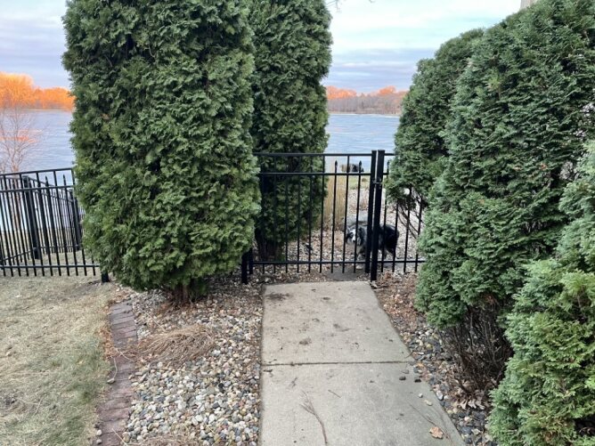 Black metal ornamental fence installed in a residential yard