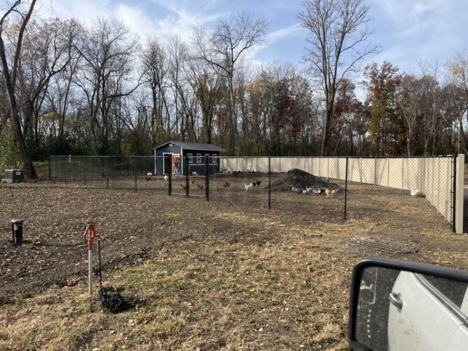 Black chain link fence installed around a commercial outdoor area near a parking lot and building with landscaped surroundings.